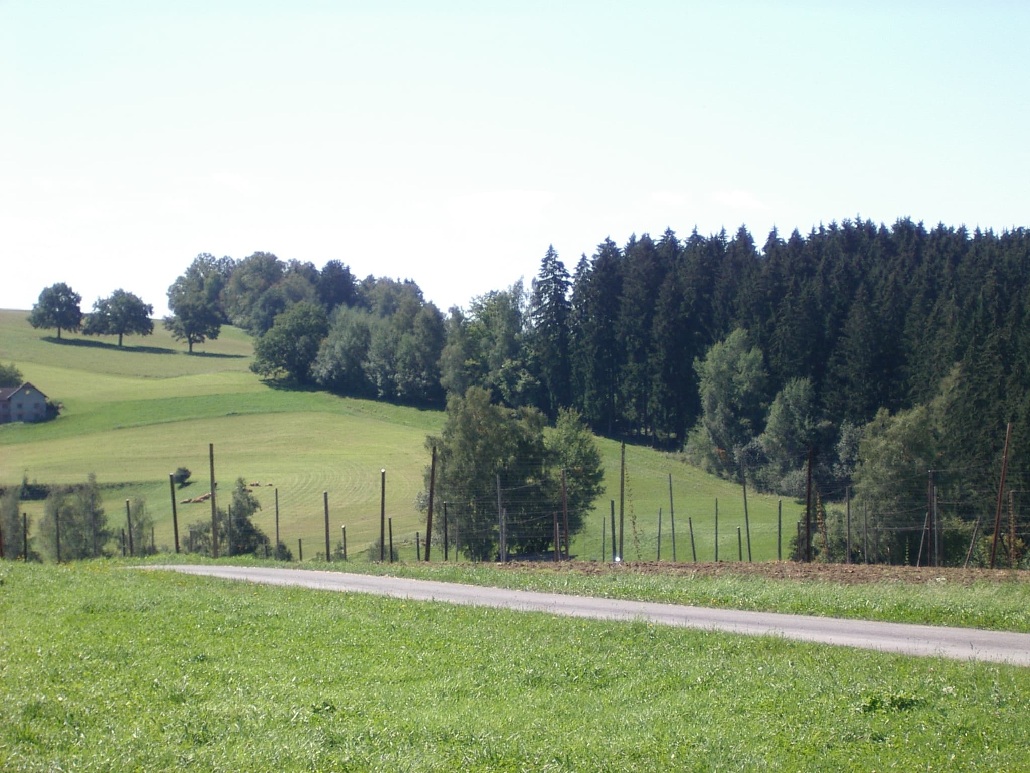 Hopfenanbaugebiet
